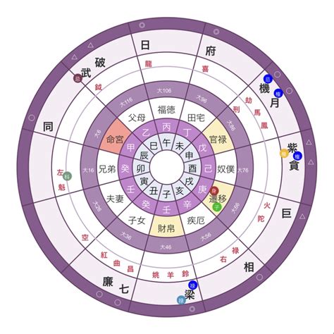 紫微斗數 12宮|紫微斗数 